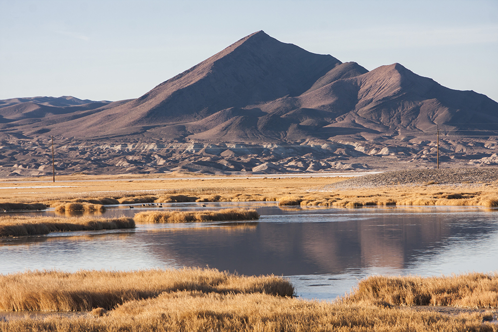 Tecopa pic